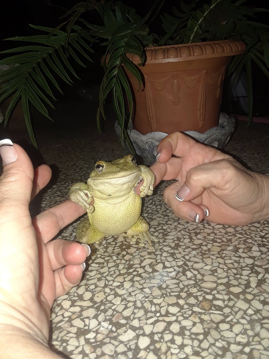 LesterAdrian00's tweet photo. @rubiesito18 Esta s la de mi casa 🤣😁 https://t.co/6eYRJgXhuA