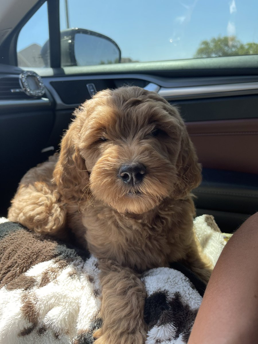 larry the cable skye tweet media