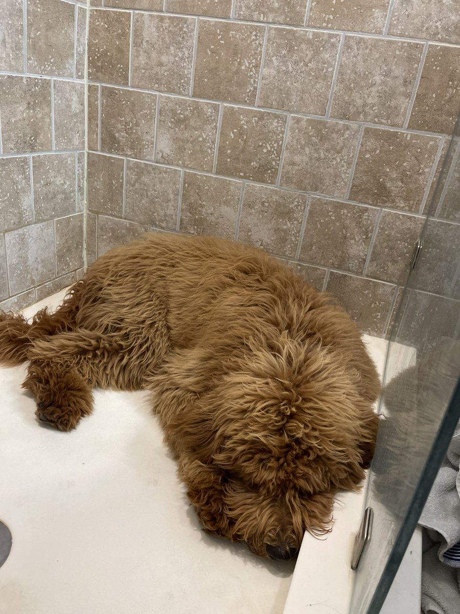 larry the cable skye tweet media