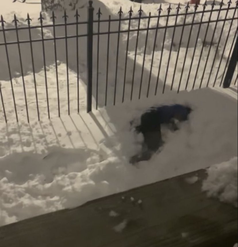 IKEHoopsDDE's tweet photo. Couldn’t practice today but the team got together for a snowball fight 😂😂😂@AmarrioM @nashonjohnson5 @alonzo_powe @temajtaylor365 @IKECardinals @DDEcardinals https://t.co/IsR1GUID6L