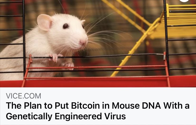 mark_menei's tweet image. Movie idea💡

An American Tail: Fievel Makes Bank
#Disney #movies