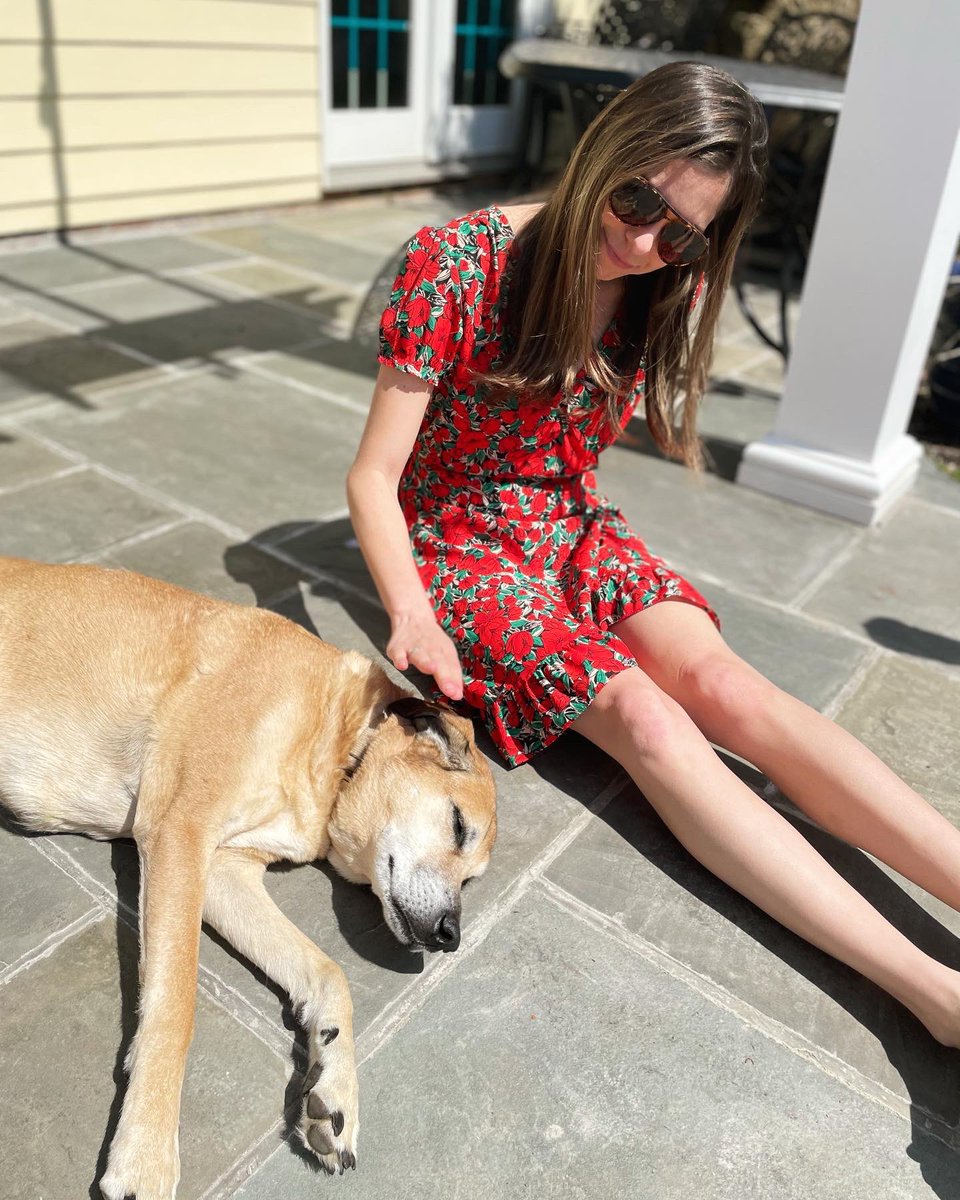 Meghan Ottolini tweet media
