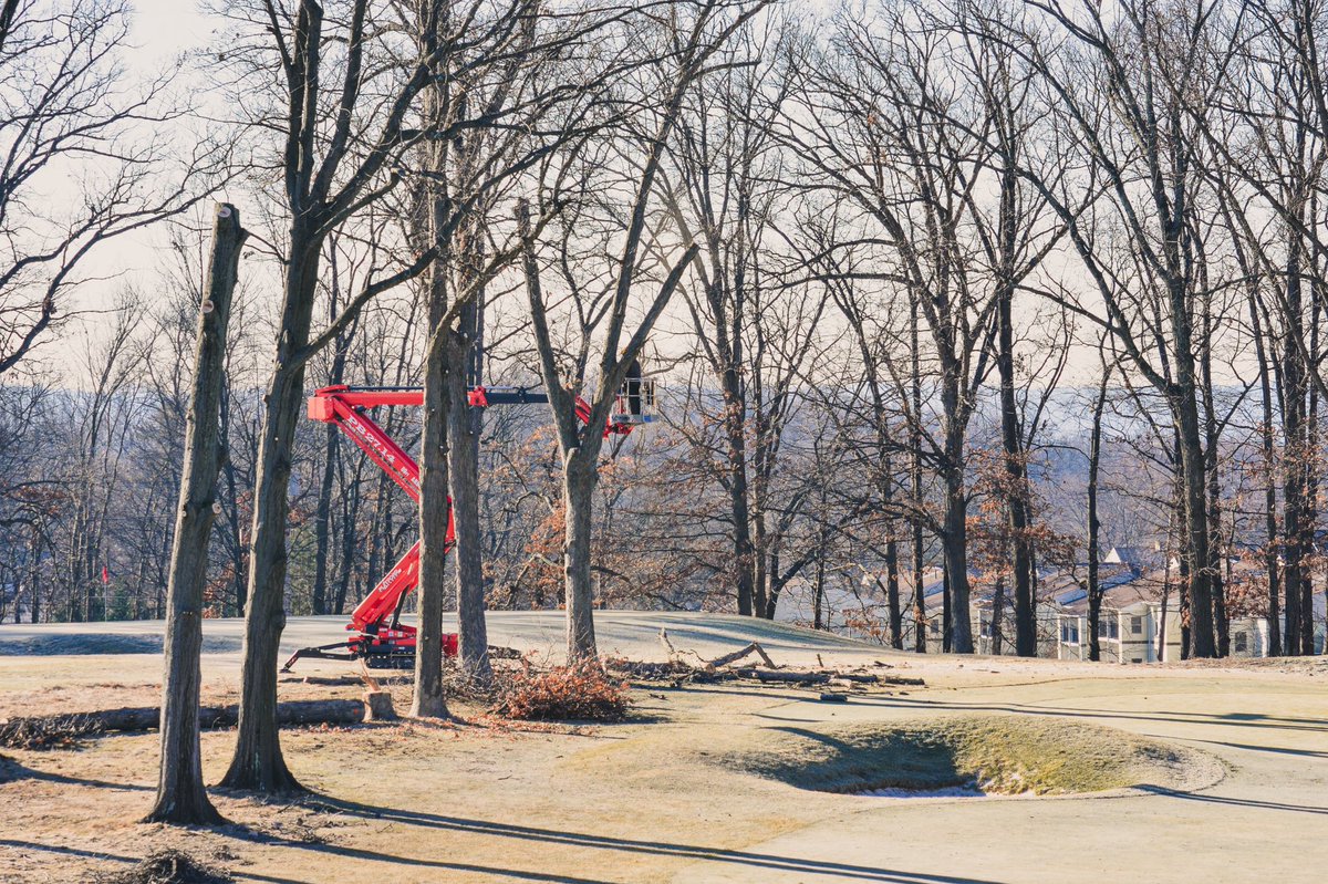 There are 36 trees down so far, as we do major cleanup around the course. The focus last week was on 13 and 14 - with maybe the most exciting work taking place on 14 tee.