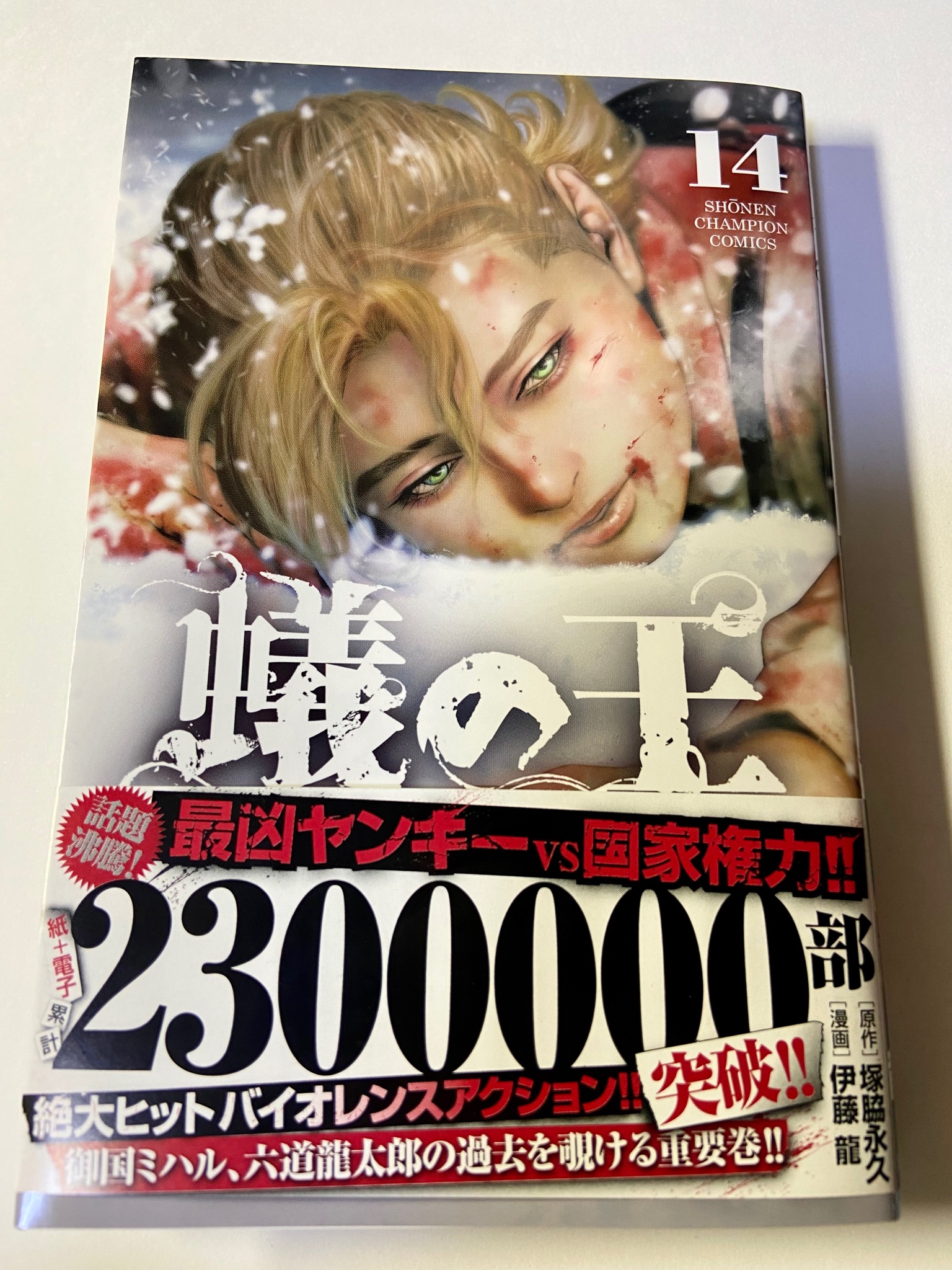 蟻の王 12 13 14 蟻の王 1ー13巻 塚脇永久 伊藤龍 セット まとめ Mettasaude Com Br