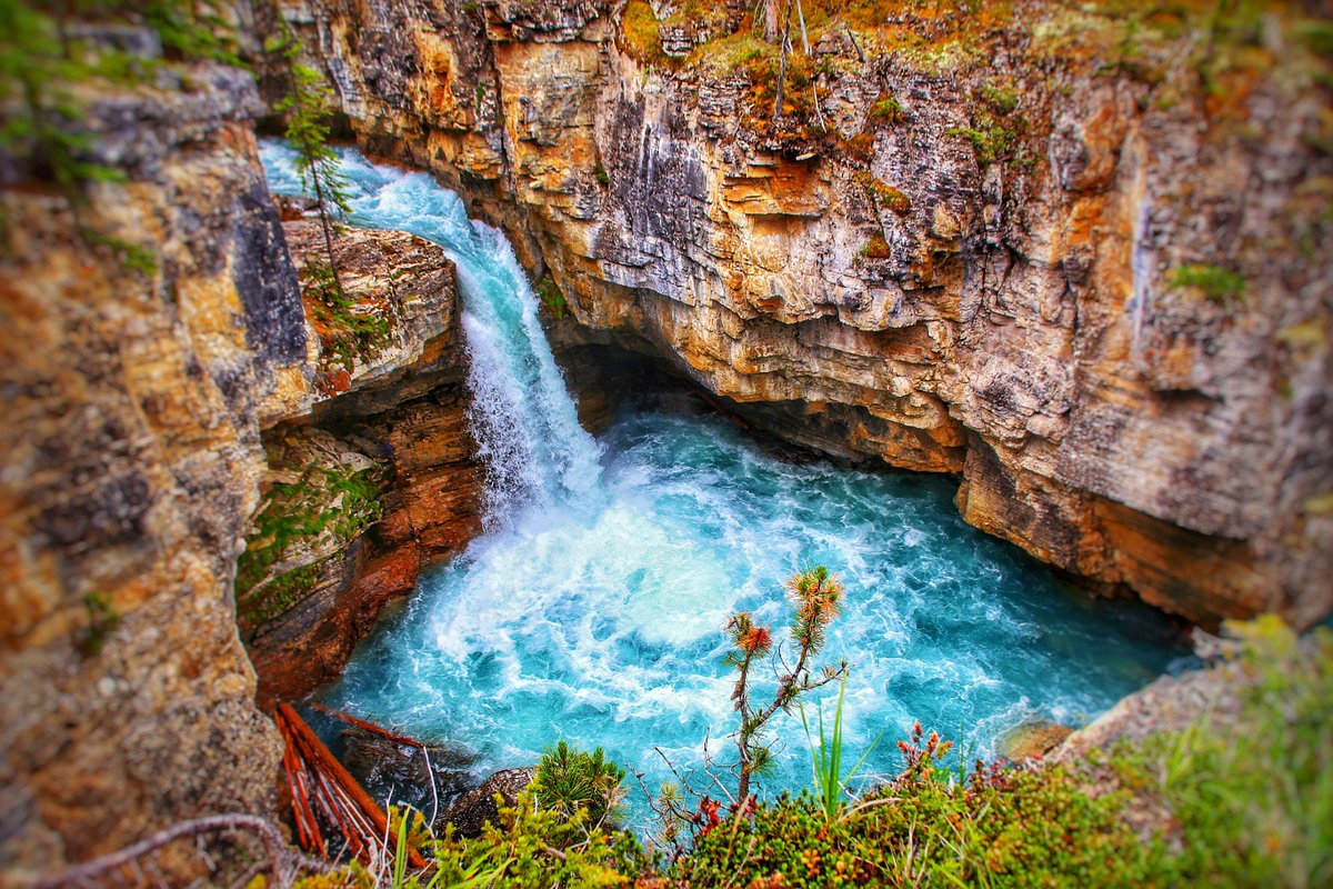 Random #waterfallwednesday post... Beauty Creek Falls approximately 80kms south of Jasper on the Icefields highway. 😍 

#myjasper #adventure #hiking
