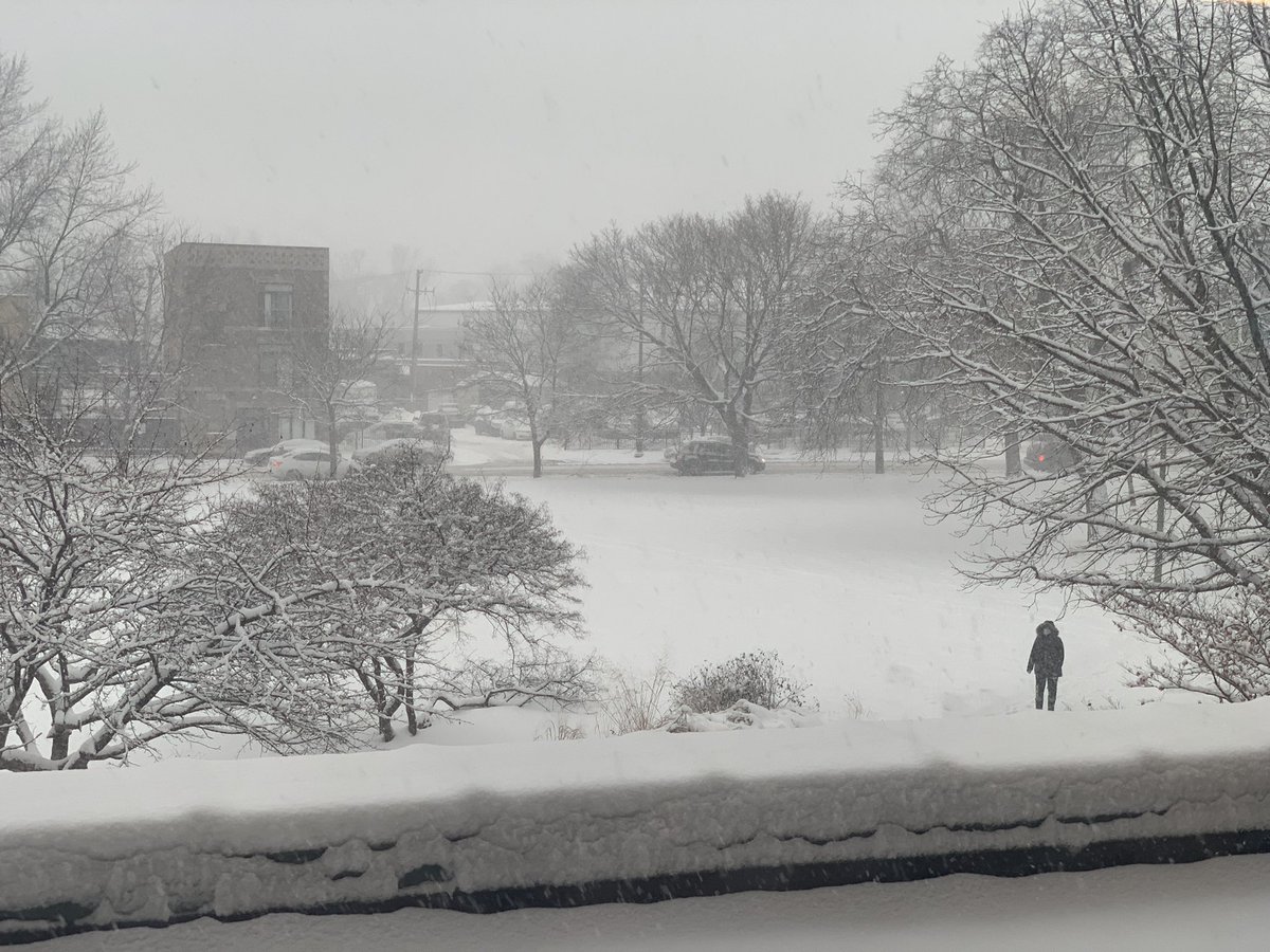 MsJJoung's tweet photo. Love the view outside my classroom windows ❤️ https://t.co/1dGAB3Kxqt