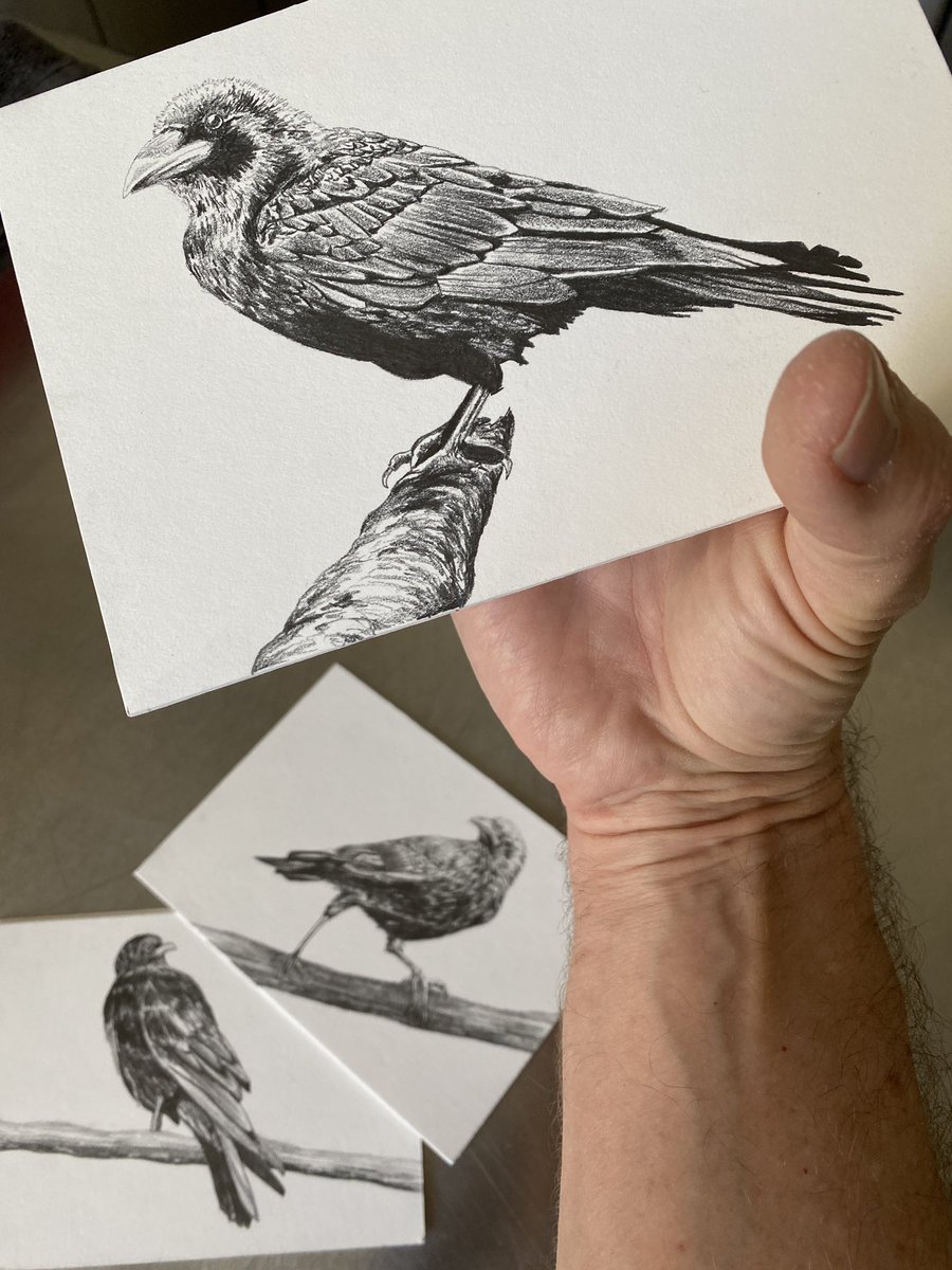 Scot Wittman tweet media