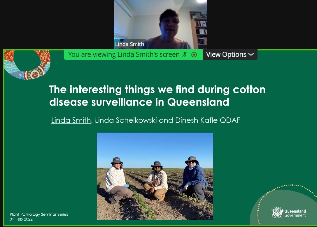 Australasian Plant Pathology Society QLD (@qldapps) on Twitter photo Dr Linda Smith presents a new disease of cotton, Recurring Wilt, and an overview of other important pest & disease threats impacting the cotton industry. (PS Linda, we love that travelling around Australia is part of being a plant pathologist!) @DAFQld <a href="/CottonResearch/">CRDC</a> Dr Linda Smith presents a new disease of cotton, Recurring Wilt, and an overview of other important pest & disease threats impacting the cotton industry. (PS Linda, we love that travelling around Australia is part of being a plant pathologist!) @DAFQld <a href="/CottonResearch/">CRDC</a>