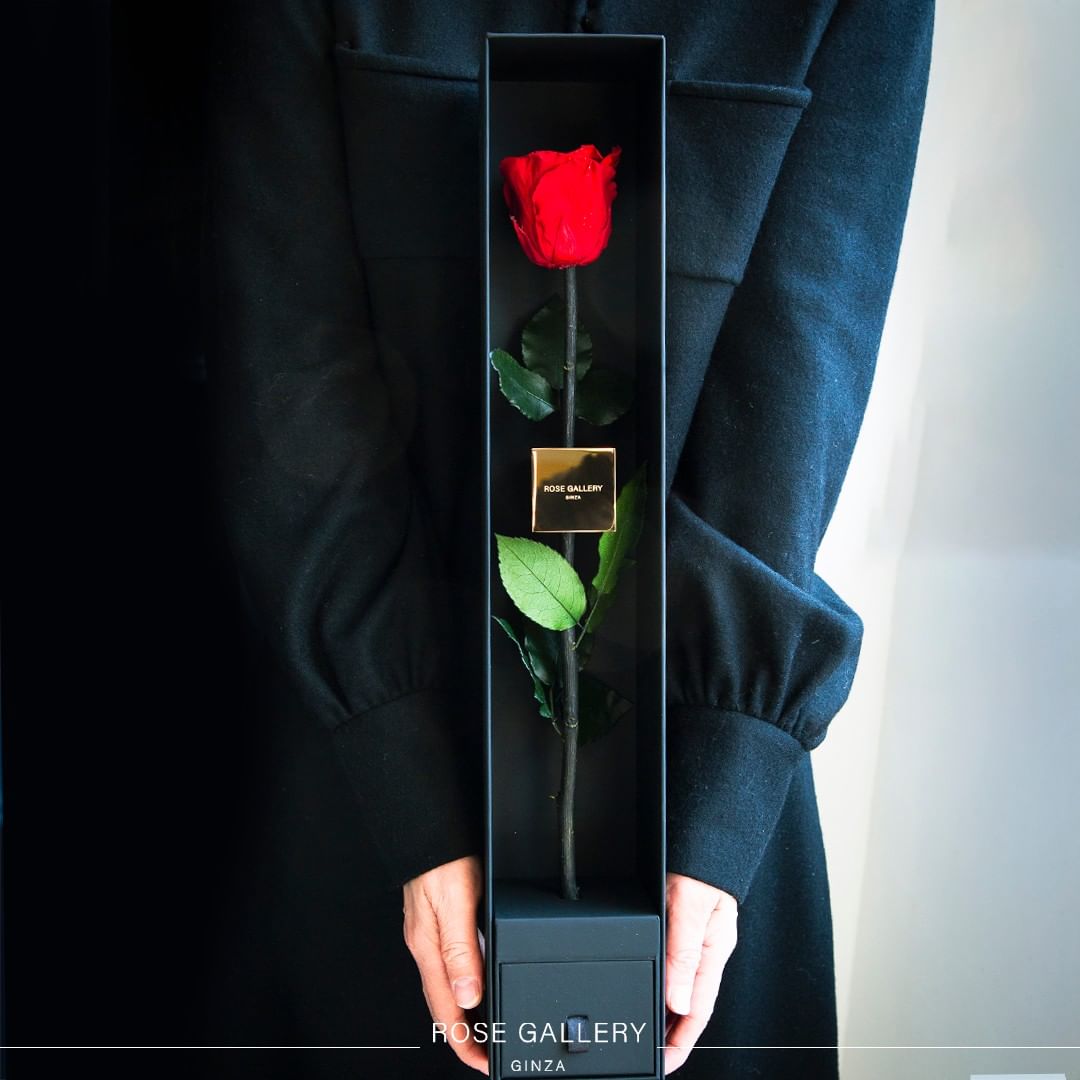 RosegalleryTR's tweet photo. ダイヤモンドローズをボックスに収めた、スペシャルなアイテム「ザ・ワン　スペシャルエディション」。
その名前には「運命の人」という意味を込めています。

https://t.co/5HLQz2q1D8

#ダイヤモンドローズ #DIAMONDROSE
#ダイヤモンドローズでバレンタイン
#ダイヤモンドローズでホワイトデー https://t.co/KqJHB3UhIF