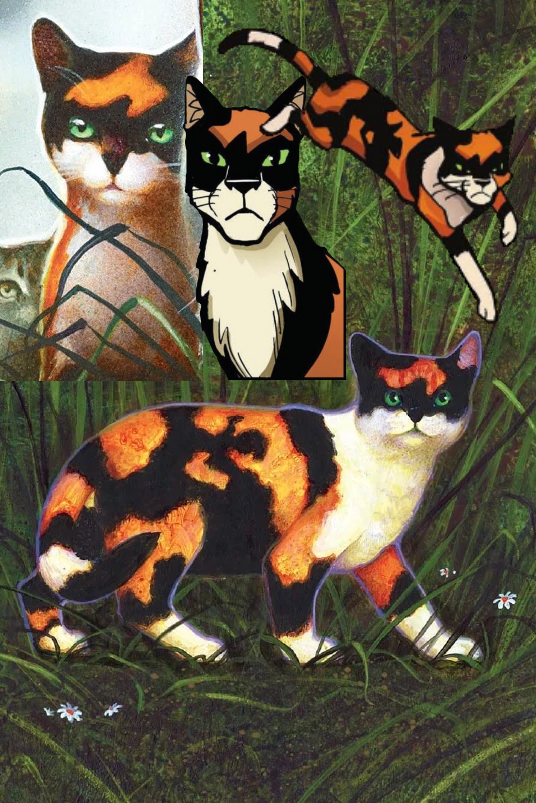 artyskepty's tweet photo. Thinking about how incredibly consistent Tawnypelt's design is between Wayne and James' art, meanwhile the site and Richardson's art is just like '?????????' https://t.co/uNlLfSxdU7