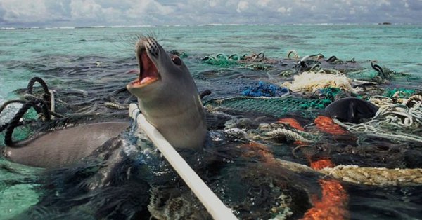 ECOWARRIORSS's tweet photo. Its a plastic world -made from oil that fuels pollution and carbon emissions and global warming
today we produce 300 million tons of plastics every year - equal to the weight of the entire human population and
Only 9% of all plastic waste ever produced has been recycled https://t.co/EADfg2LA9H