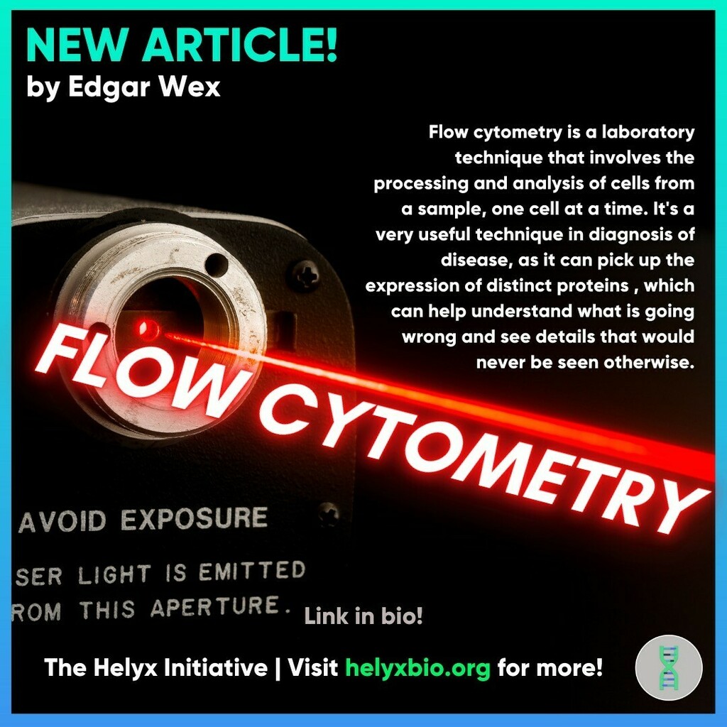helyxscience's tweet photo. How is flow cytometry used to diagnose disease? Find out how the innovative laser-based lab technique works and more in our new article by Edgar Wex! Link in bio. https://t.co/ZFBFYk4D3V https://t.co/oVPIKg2Oeh
