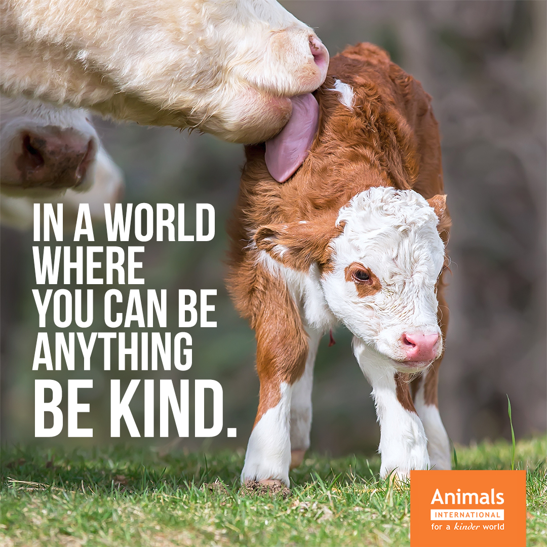 The rewards are limitless. Be kind, always ❤️