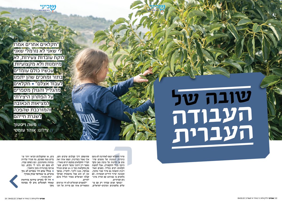 משה ויסטוך tweet media