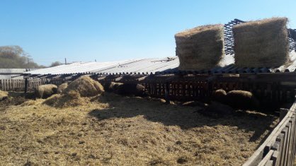 СУ СКР Самара tweet media