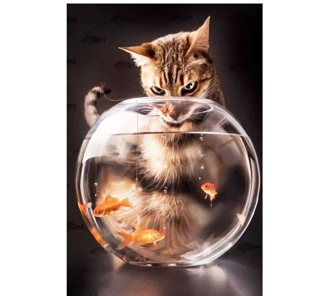 кот с рыбой.