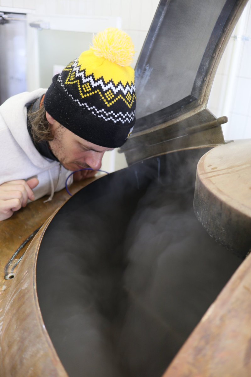 ヒノシシ / HINO BREWING Festival Beer tweet media