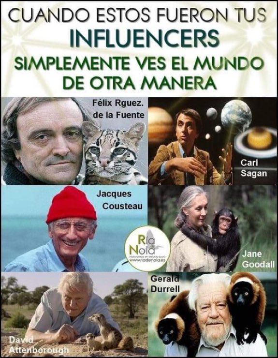 Siguen siendo mis influencers. Sus mensajes no caducan.