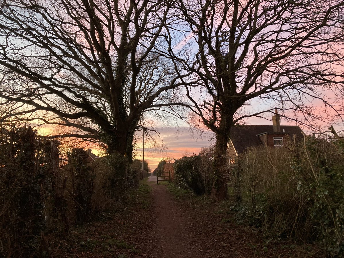 MeiLoft's tweet image. I love where I live! Yesterday’s sunset 🌳 🥾 

#sunsets #wealdway @ThePhotoHour #easthoathly #sussex #silhouette #trees #winter #ThursdayMotivation #MentalHealthMatters