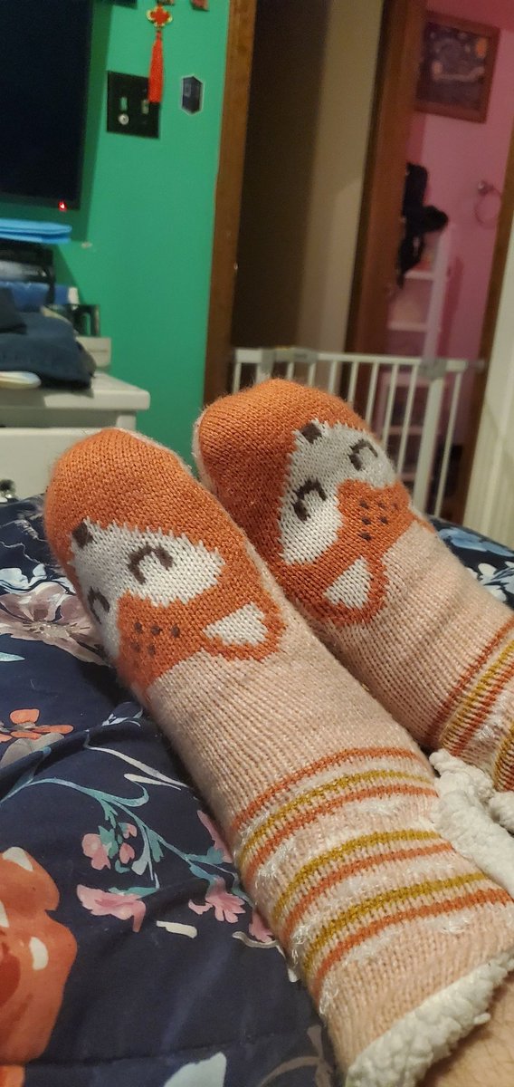 Sir_Snack's tweet photo. Im wearing the cutest sock rn 
#cuteanimal  #foxsocks #cute https://t.co/1AZWJ7msqi