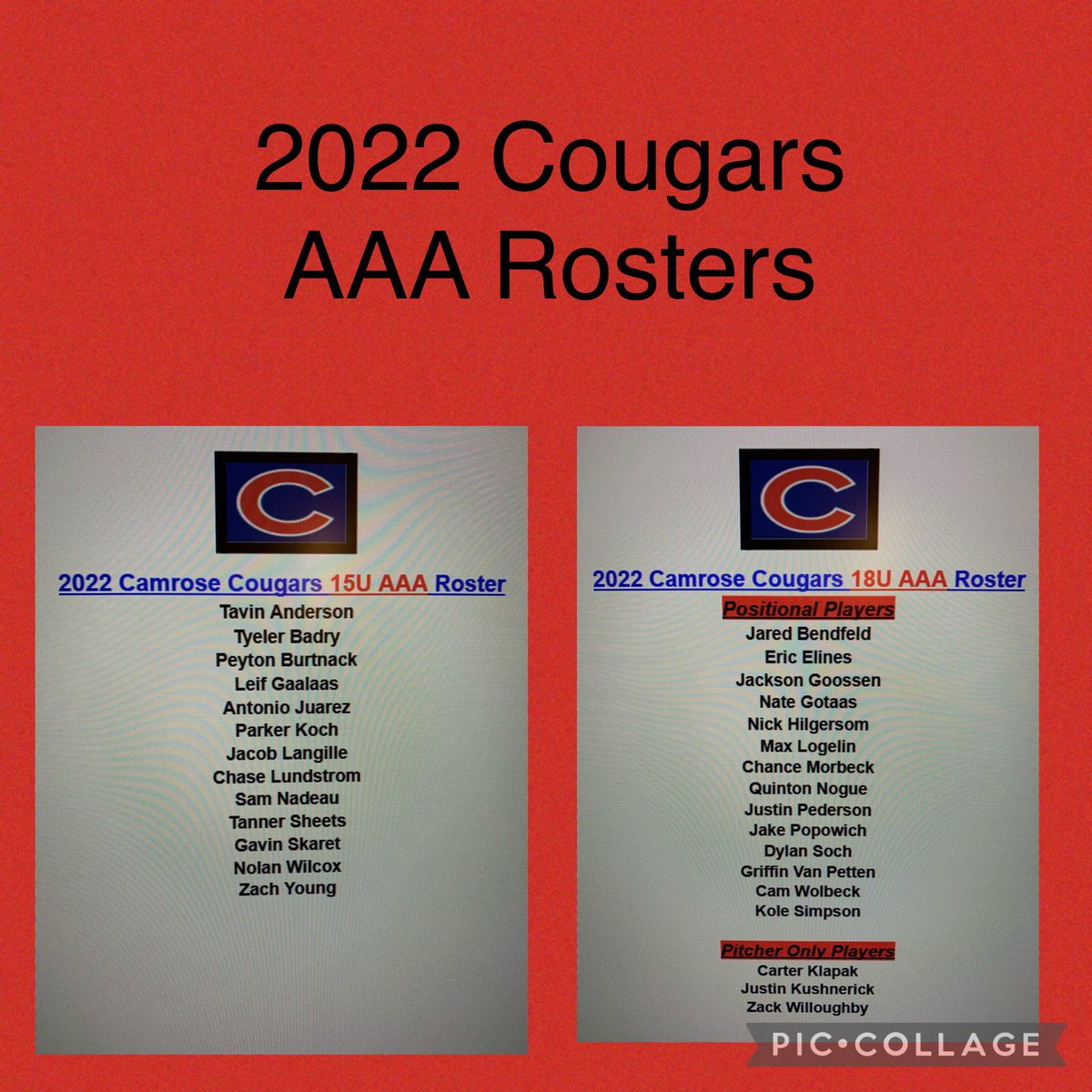 2022 Camrose Cougars 15U & 18U AAA Rosters. Congratulations to everyone who made it, let’s get to work! #CougarsPr1de