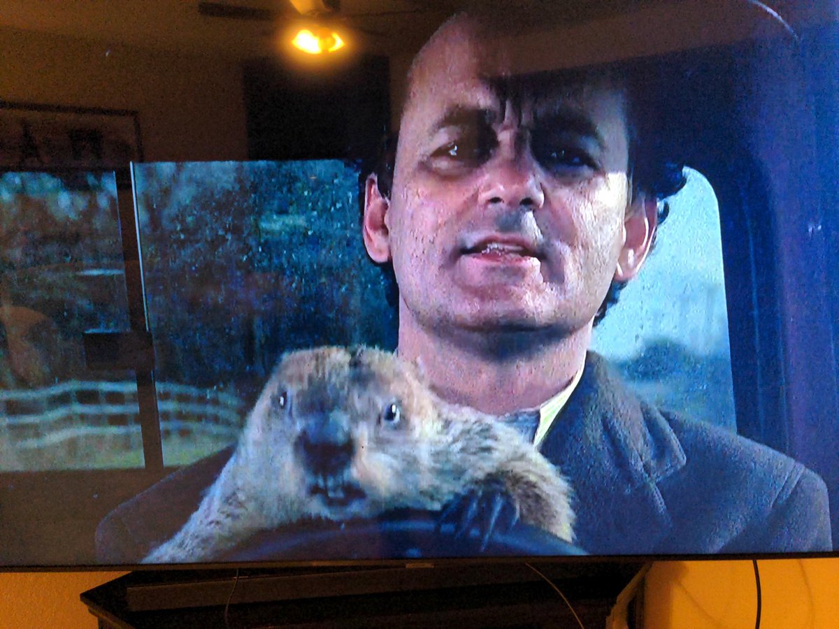 CBMRob's tweet image. Somehow I can watch this over and over and it never gets old.  #GroundhogDay #Irony #WeatherHumor