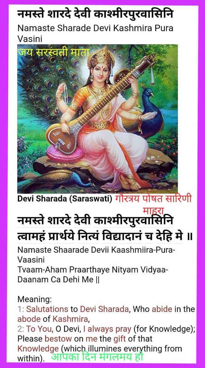 GaashTaarukh 𑆓𑆳𑆯 𑆠𑆳𑆫𑆶𑆒🌟🇮🇳 tweet media