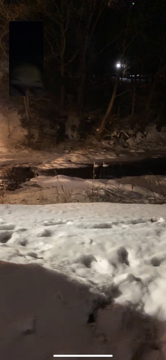 crying because the guy I’m talking to FaceTimed me to show me a pair of swans he saw on his daily walk (he takes daily walks)