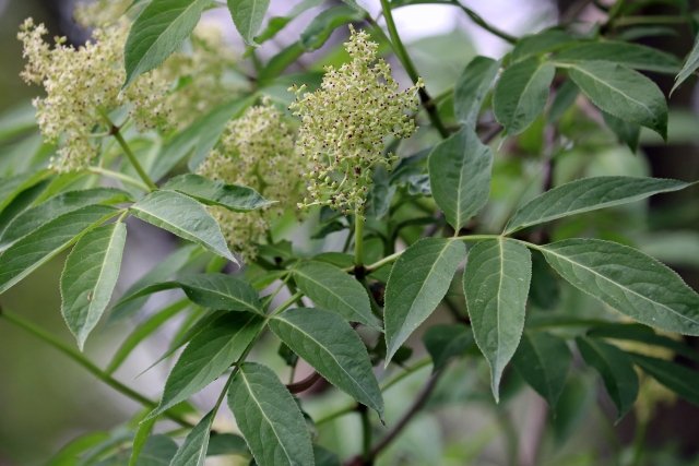 漢字の備忘録 Ffrq7obun6x7tow Twitter 漢字の備忘録 Ffrq7obun6x7tow Twitter