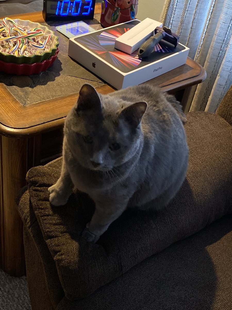 M00NSK1TTL3Z's tweet photo. @walmart_child Just iincase 👁👁
Also cat 👍 https://t.co/ndPN1JHCag