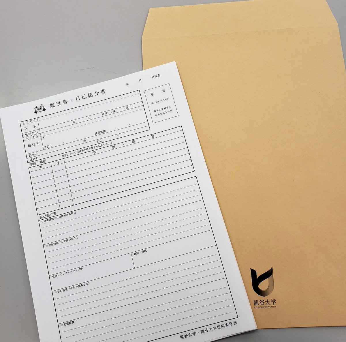 龍谷 大学 履歴 書