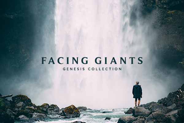 jvcknft's tweet photo. Everyone on the Whitelist has now been contacted :)

Sale starts on February 4th at 6:00am EST and WL will have 24 hrs to purchase their private listing. Congrats again to the winners and thanks for a great drop! #WeAcceptAsh #FacingGiants https://t.co/A36gK2VVAJ