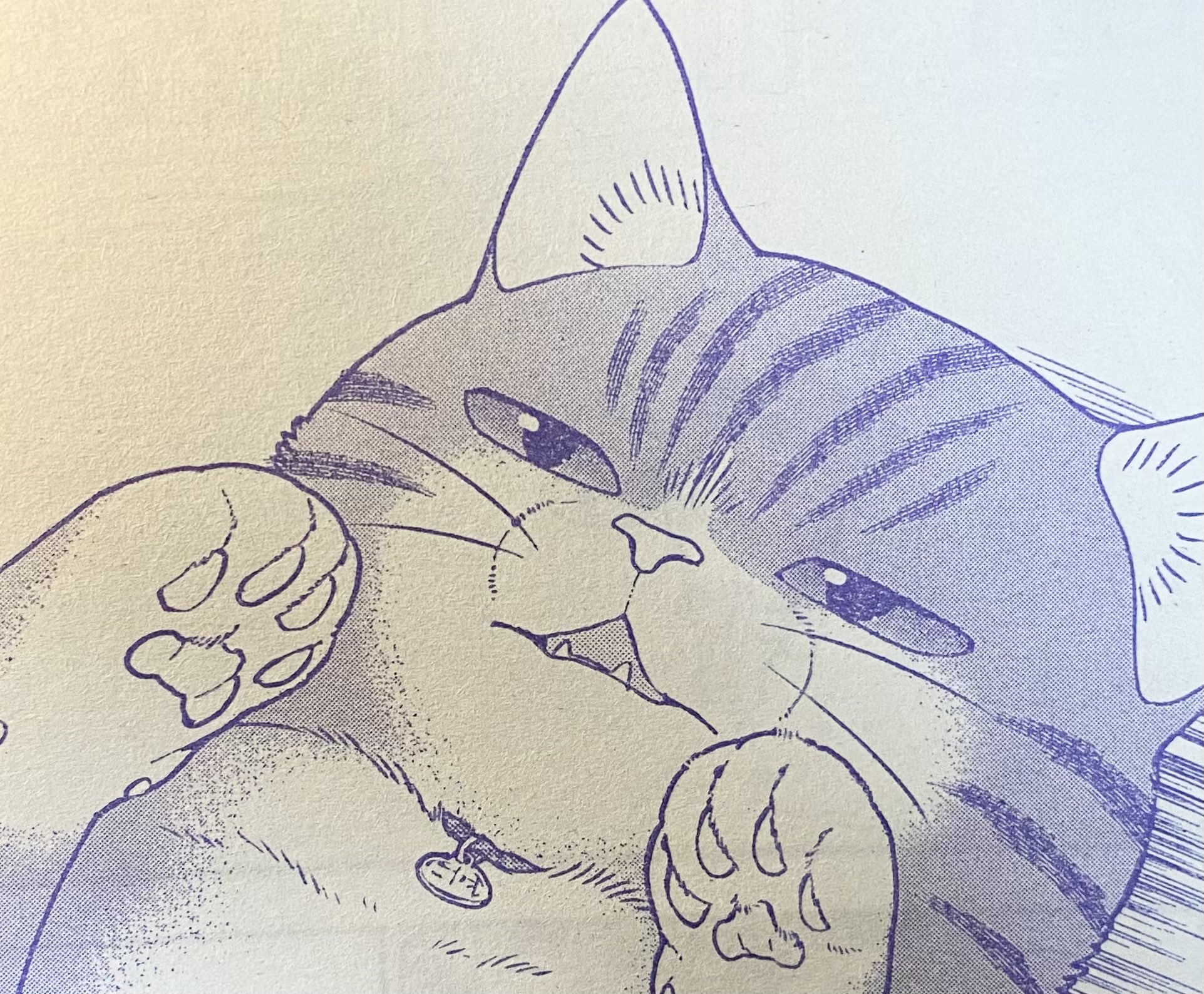 ねこ はじめました Nekohajimeta Twitter