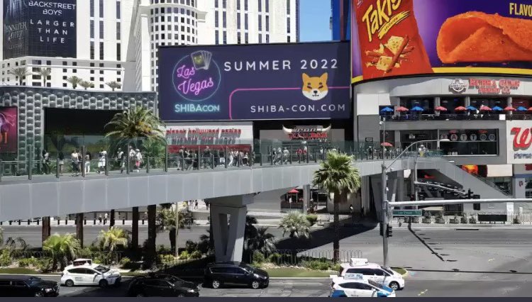 Hey <a href="/ShytoshiKusama/">Shytoshi Kusama™</a> - need to talk to you about a summer Vegas event that a lot of us want to put on. How can we connect? #SHIB 🔥🔥🔥 <a href="/SHIBA_Con/">SHIBAcon🐕🎰🌴</a> SHIBA LAS VEGAS!

<a href="/Yourpop8/">YourPOP</a> <a href="/austinahilton/">Austin Hilton</a> <a href="/ChadReddings/">Chad</a> <a href="/RealStockMoe/">Stock Moe</a> <a href="/shibainuart/">みるく</a> <a href="/davidgokhshtein/">David Gokhshtein</a> <a href="/Shibtoken/">Shib</a>