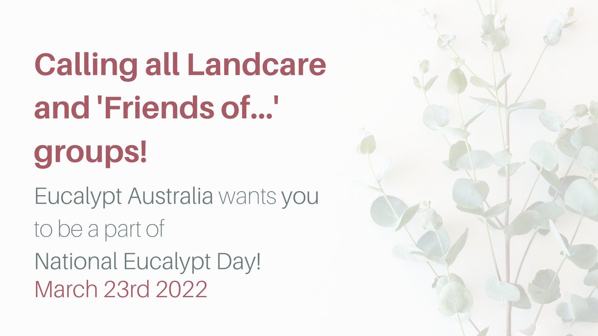 Show off your patch this March for #NationalEucalyptDay!
We want to connect all Australians with their trees locally &amp; encourage custodianship and volunteering. 
More details: instagram.com/p/CZfxoA1BIz6/
EOIs: eucalyptaustralia.org.au/ned-host-event…
<a href="/LandcareAust/">Landcare Australia</a> @AusLandcare #ozplants #eucalypt