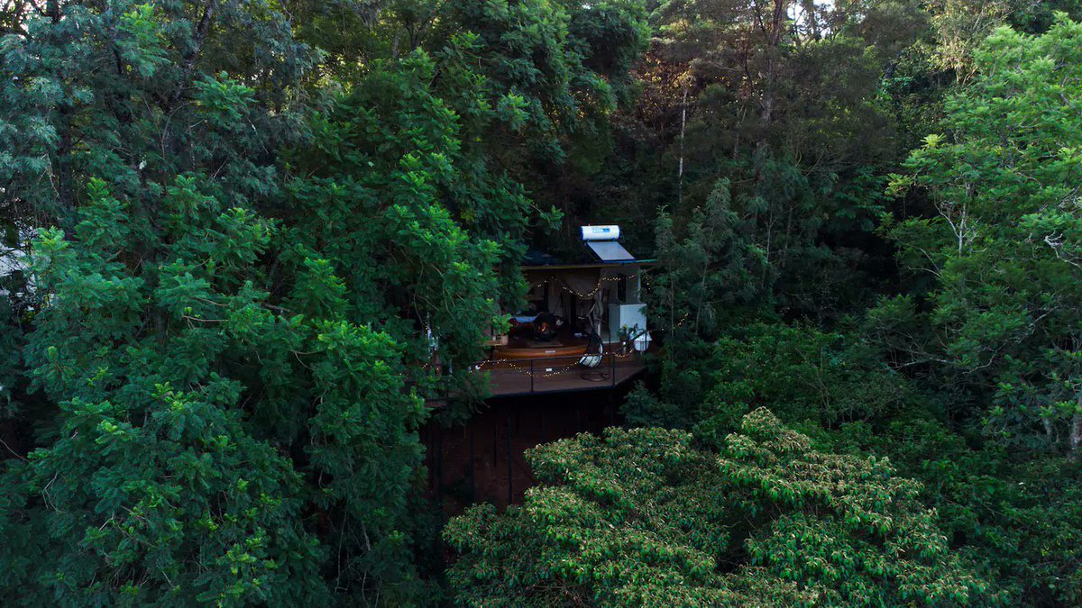 Let’s Discover Travel tweet media