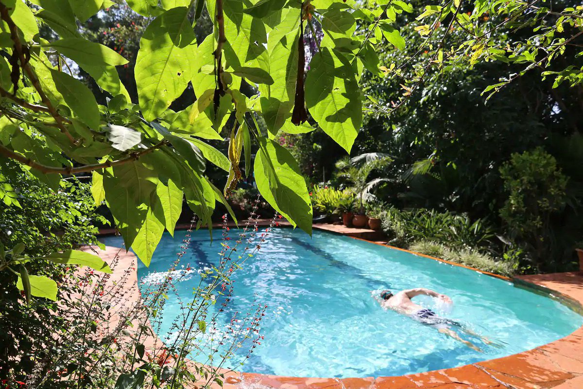 Let’s Discover Travel tweet media