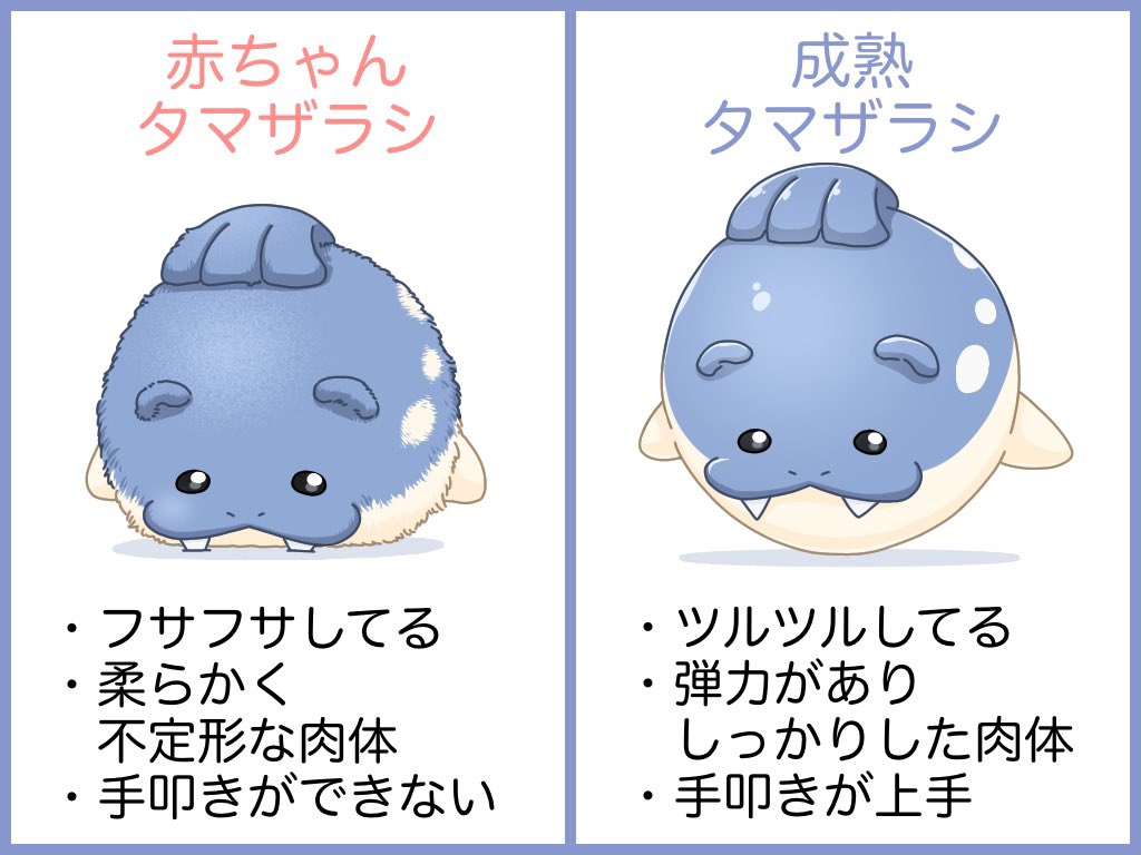 chiru　 タマザラシちゃん モフ毛なのは赤ちゃんタマザラシだけにするつもりが、今や成熟