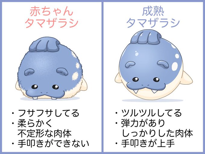 赤ちゃんタマザラシのtwitterイラスト検索結果