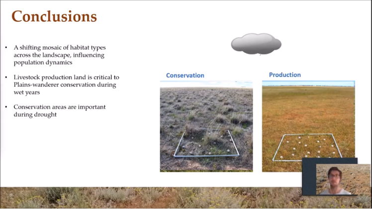 VicBioCon's tweet photo. Livestock production land and conservation areas play a complementary role in the conservation of a critically endangered grassland bird - the Plains-wanderer ๐ฅ research by @dnug @latrobe #VicBioCon https://t.co/xEZh693Rk2