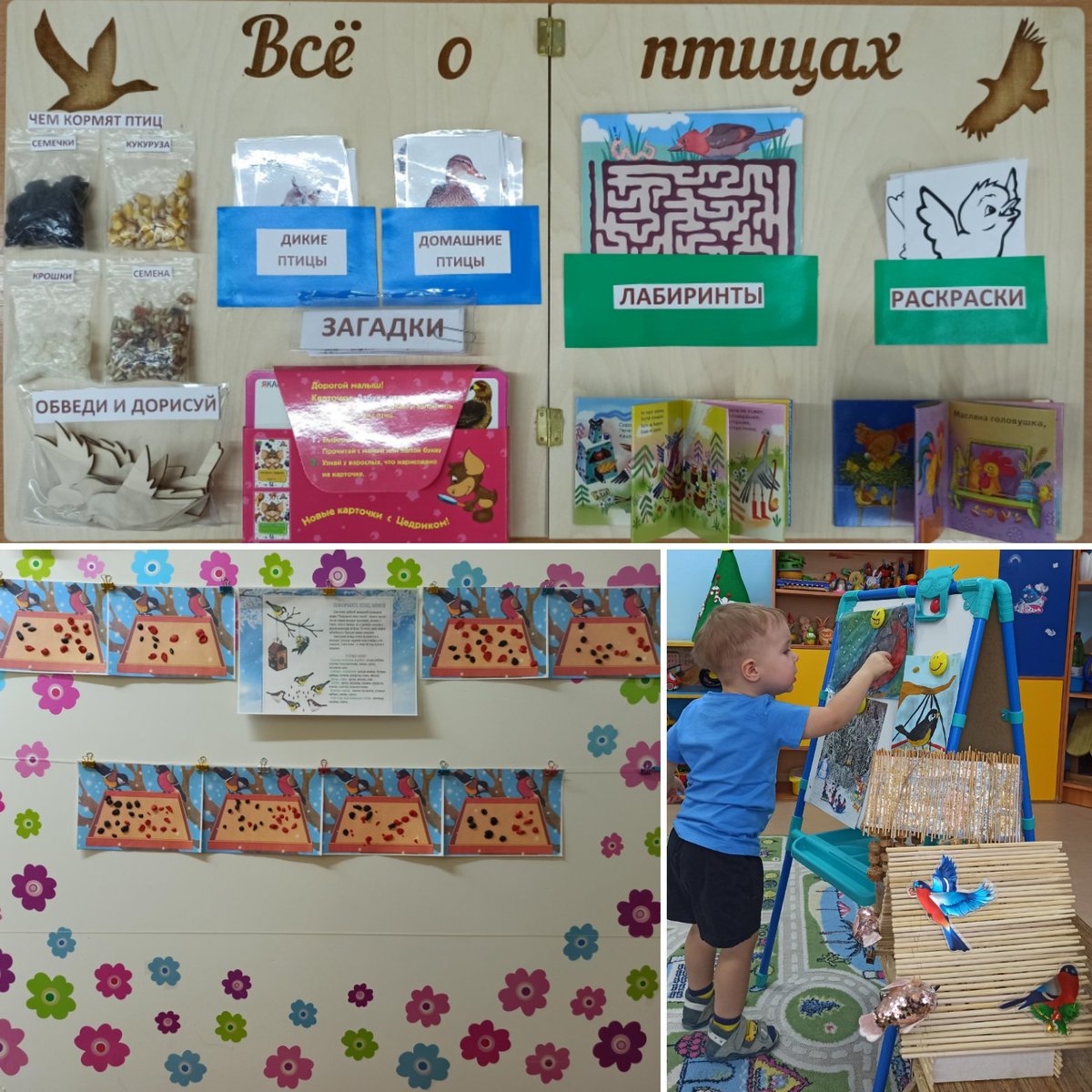 Тематические занятия "Покормите птиц зимой", "Кто чем питается?" с применением ЭОР, "Всё о птицах"- лэпбук - позволяет познакомить и расширить представления детей о птицах.