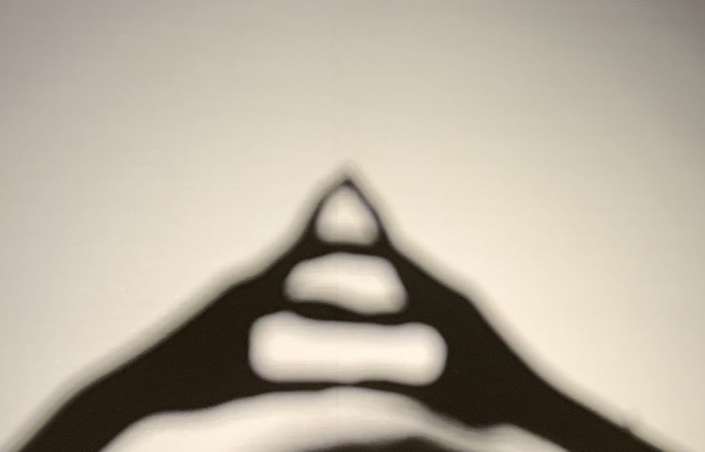 しらい(夏) tweet media