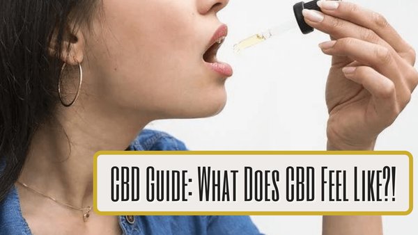 GR__wellness's tweet image. Are you interested in CBD but aren't sure what it would feel like? This guide will give you an understanding on #CBDeffects and how it feels. 
 View and share here⤵️
goldenremedywellness.com/blogs/golden-r…
#cbdguide #cbdblog #blog #blogpost #cbdwellness #wellness #natural #HealthyLiving #calm
