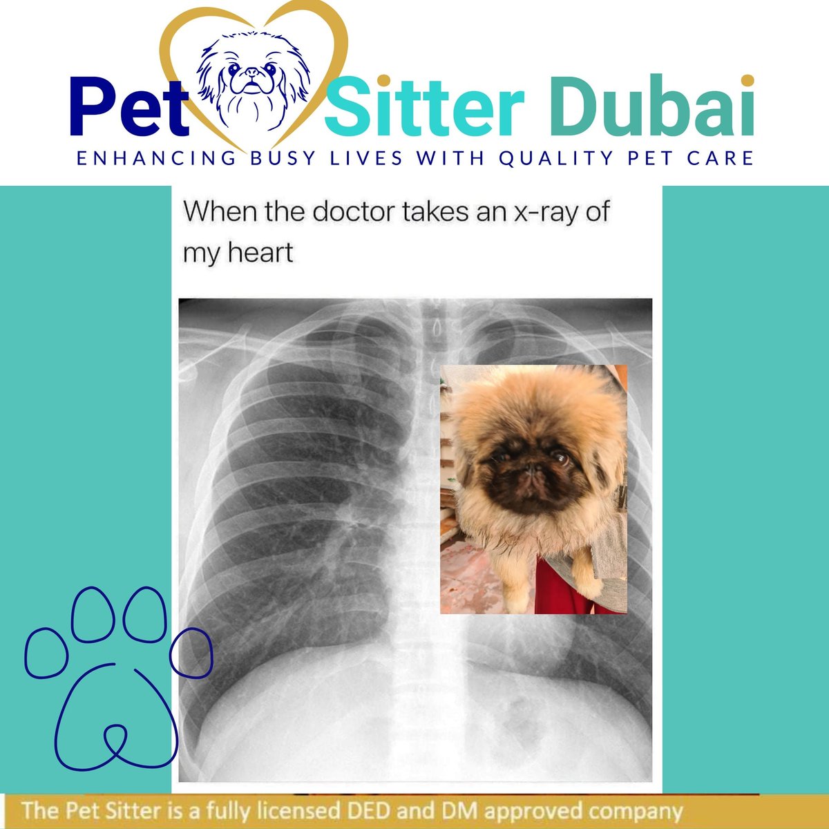 When the dr does an x ray of me heart ❤️