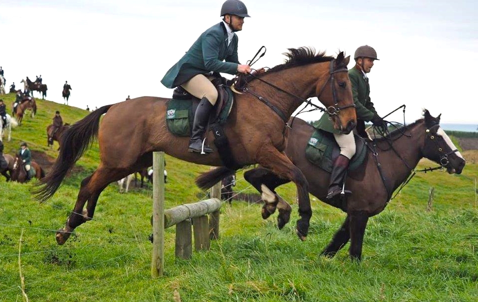 WHERE ARE THEY NOW | Binghi
(Pupil x Hidden Depths)
Breeder: P Bingham, C Hobbs &amp; J Wheeler
Record: Unplaced
Current Role: Hunting superstar

Bing's connections had steeplechasing dreams but it was on the Taranaki Hunt field that he made his mark. 

nzthoroughbred.co.nz/where-are-they…
