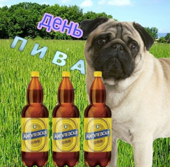 deda_sanya's tweet photo. Дневная цепочка твиттерских

🍺читай меня я #взаимный

🍻сделай рт

🍺читай ретвитнувших

🍻жди новых читателей 

#цепочкатвиттерских 
#цепочкафолловеров https://t.co/TIh0dVhAen