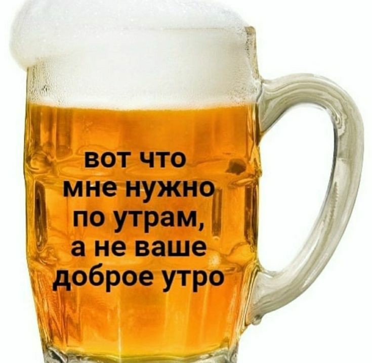 deda_sanya's tweet photo. Дневная цепочка твиттерских

🍺читай меня я #взаимный

🍻сделай рт

🍺читай ретвитнувших

🍻жди новых читателей 

#цепочкатвиттерских 
#цепочкафолловеров https://t.co/TIh0dVhAen