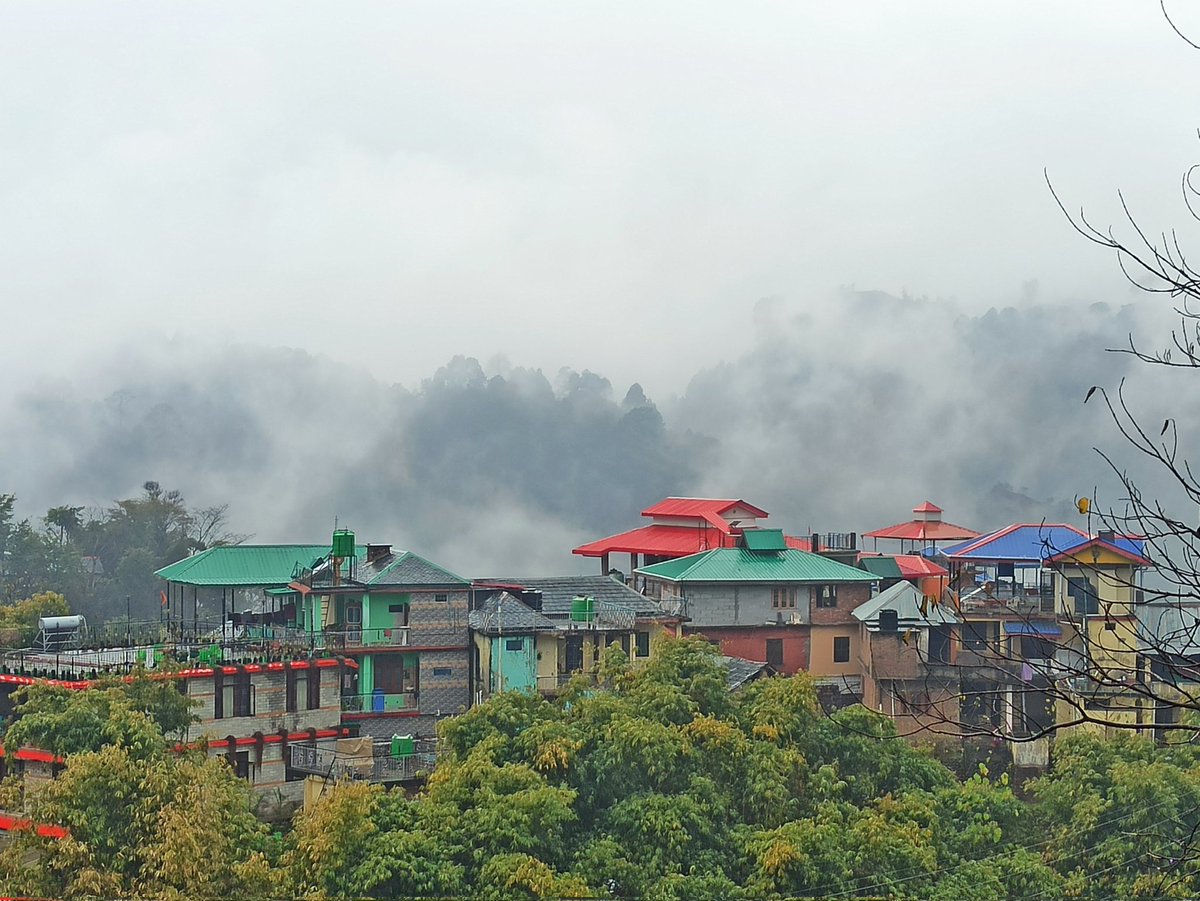 tripwip's tweet photo. The View 👌
🗾Binga, Himachal Pradesh

Captured @itsurumy

#indiavillage #himachalvassi #himalyantrip #gaonkishanti #chupsashor #moutainarecalling  #umeshcondal🏅 #instadaily @tripwip #Yatri #yemerahimachal #weather #coldweather❄️ #rainyday #foggymorning #foggyweather https://t.co/SjyDrw1CGf