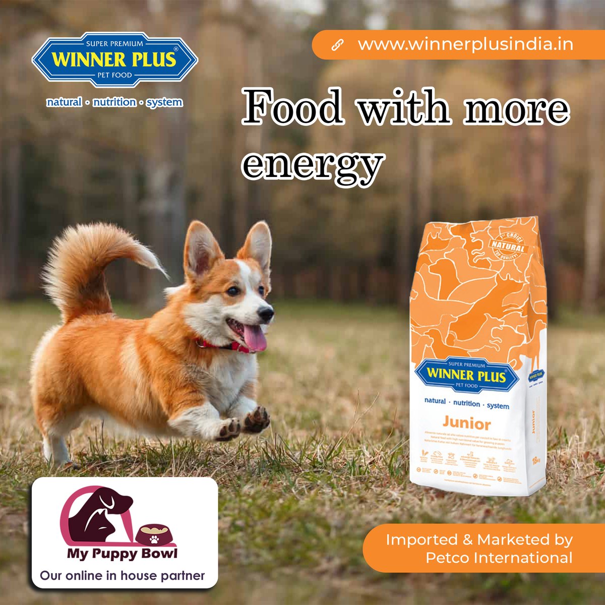 WinnerPlusIndi1's tweet photo. Buy Winner Plus Junior Now!
Its exclusive composition, prepared with prime meats carefully processed as done with human food quality for the puppy’s specific needs starting from the fourth month of life to fully grown dog.
.
Buy Now
https://t.co/fkVNK7nNn7
.
.
.
#junior #dogfood https://t.co/w1eRRb6vx8