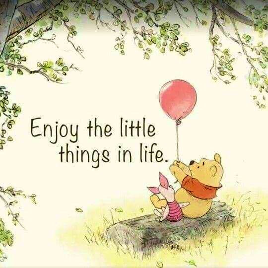 suziday123's tweet photo. Thursday Friendly Reminder…Enjoy the little things in life 🙌🎉 #ThankfulThursday #ThursdayThoughts #enjoylife ❣️ https://t.co/QyaSpXnFw4